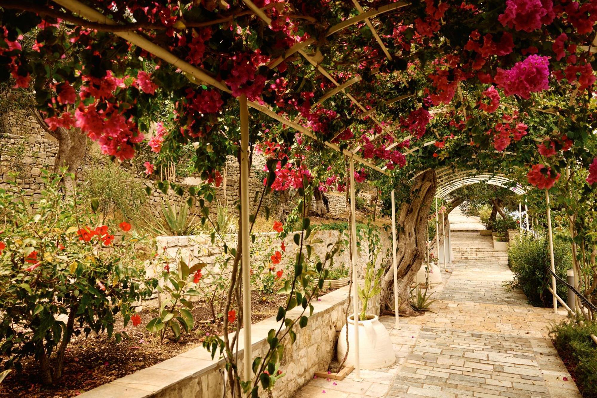 Agali Hotel Paxos Oziás Esterno foto